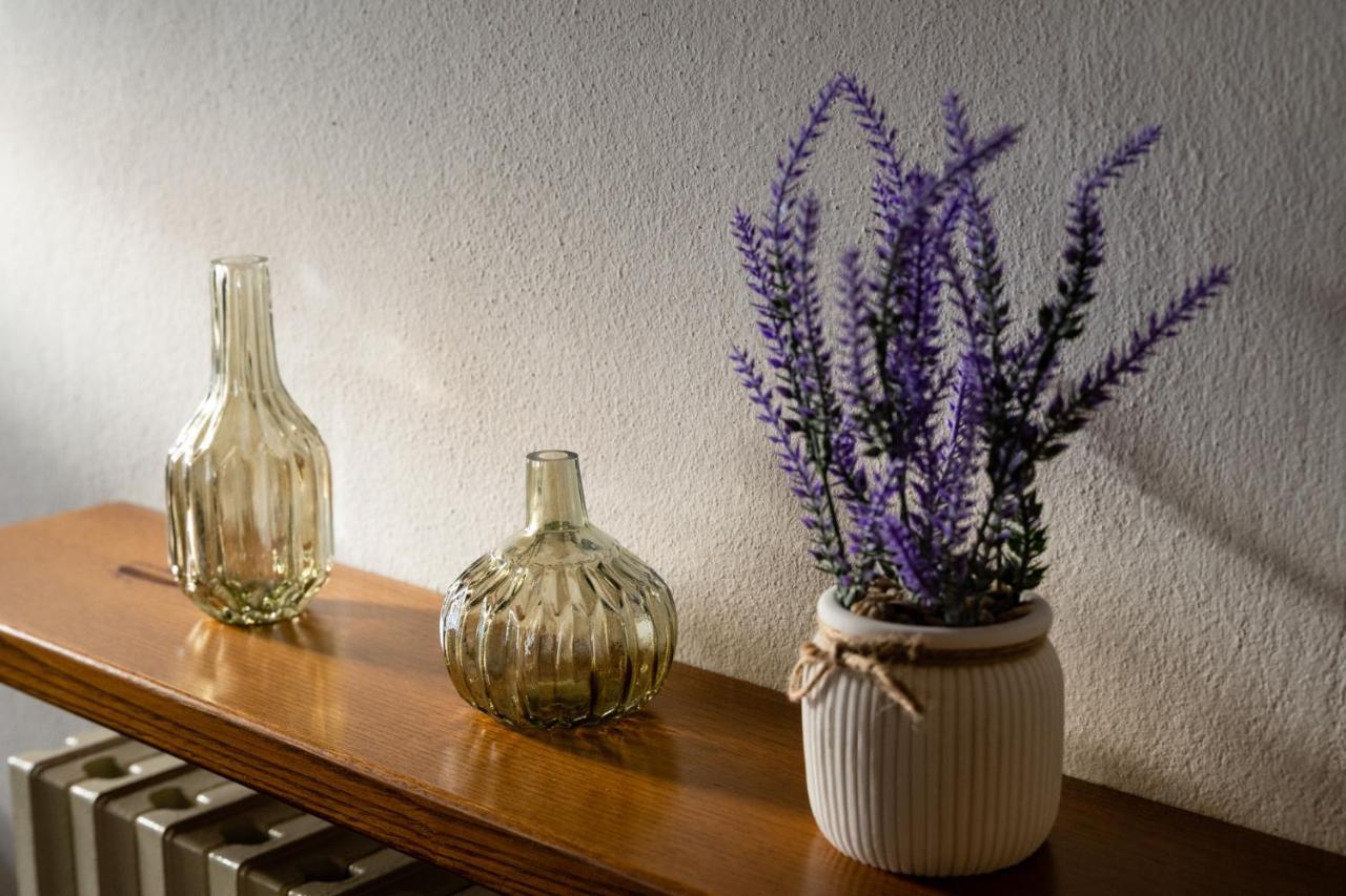 Lajatico Rentals - Casa Di Alice Nel Borgo Eksteriør bilde